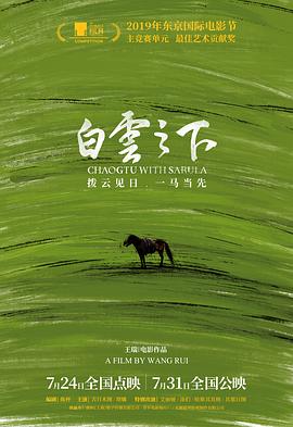 白云之下封面图