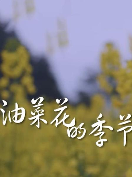 油菜花开的季节封面图