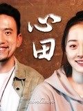 心田封面图
