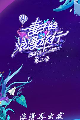 妻子的浪漫旅行 第三季封面图