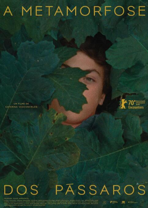 鸟类变形记封面图