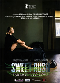 甜蜜的冲动封面图