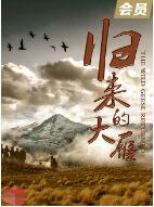 归来的大雁封面图