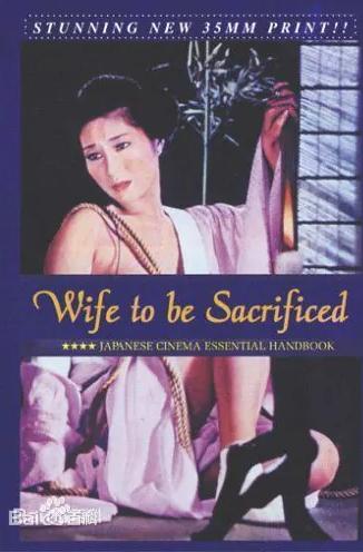 供品夫人封面图