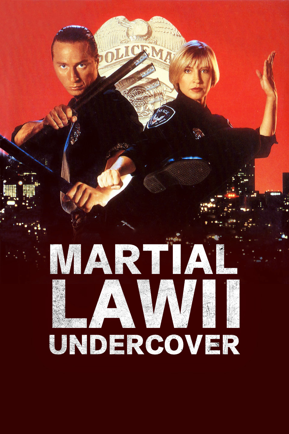 卧底飞龙2封面图